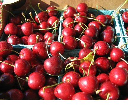 Cherry picking season