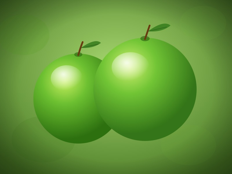 Granny Smith variety at Fisher's Fruit & Christmas Tree Farm Brockport NY