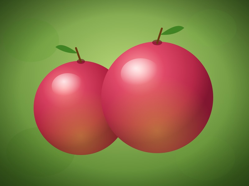 Pink Lady variety at Fisher's Fruit & Christmas Tree Farm Brockport NY