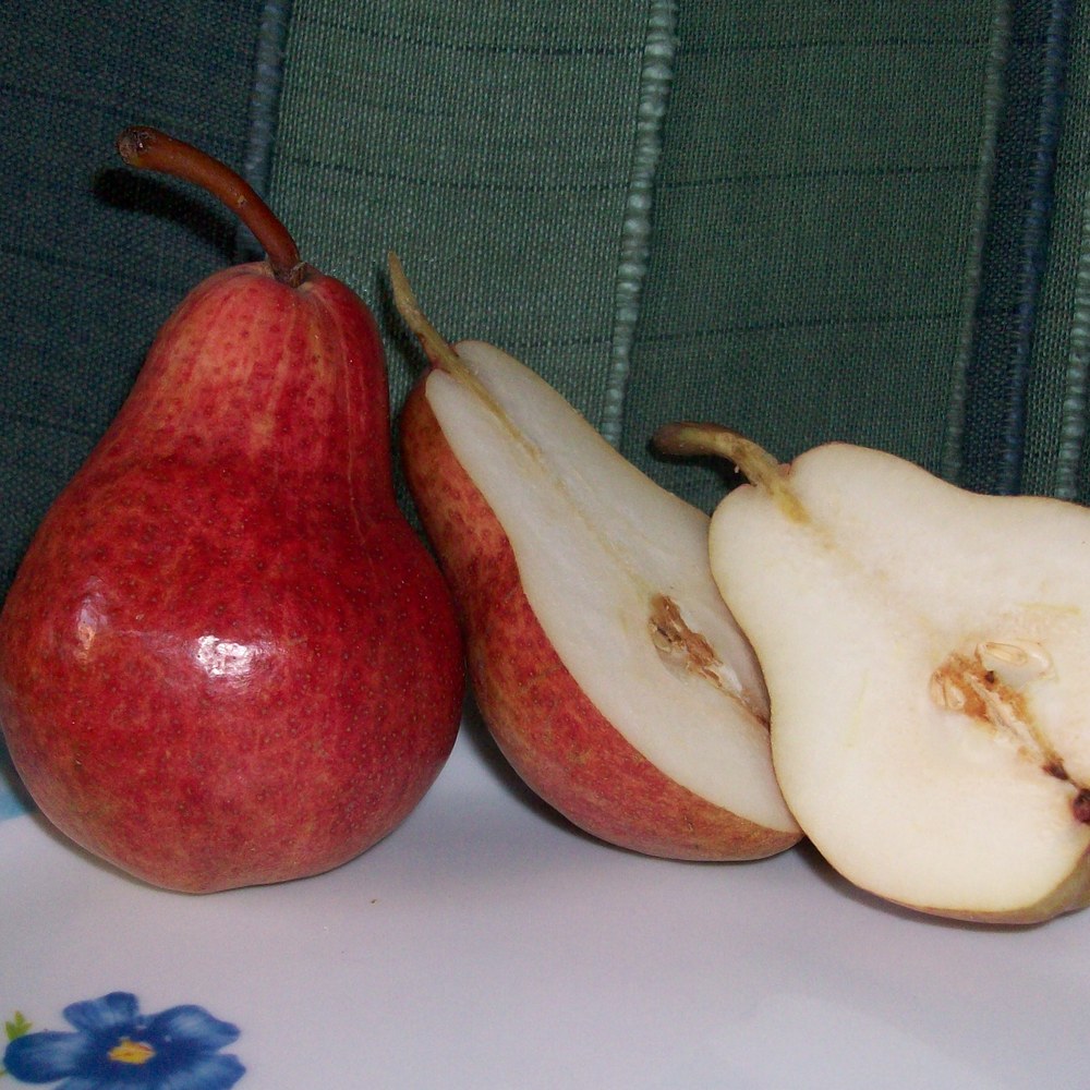 Red Bartlett variety at Fisher's Fruit & Christmas Tree Farm Brockport NY